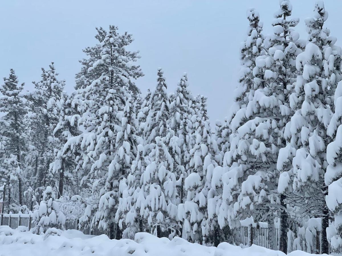 Pinewood Inn South Lake Tahoe Luaran gambar